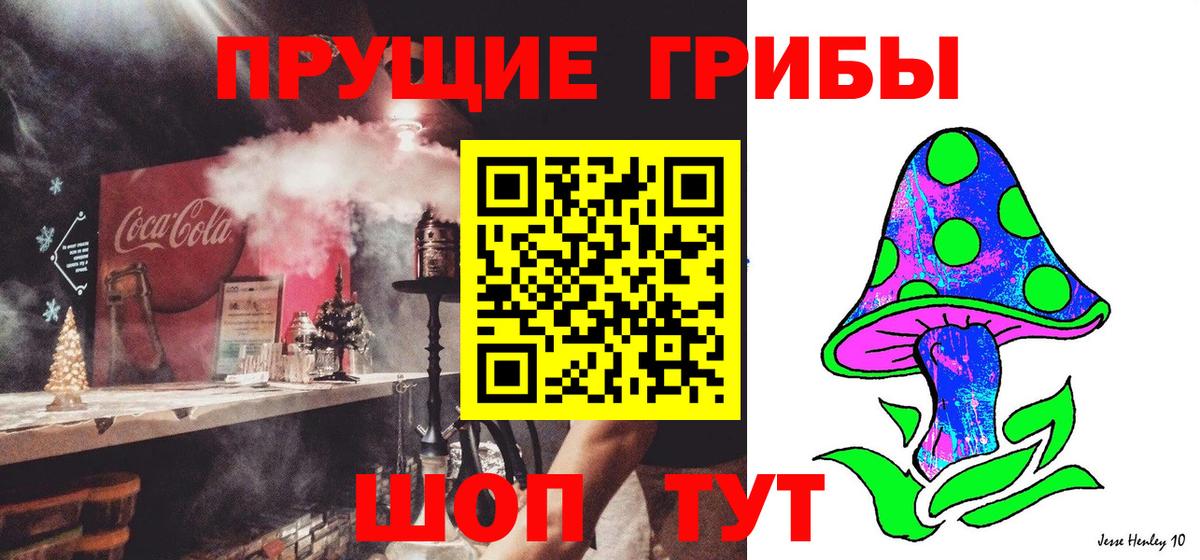 Галлюциногенные грибы Psilocybine cubensis  Псилоцибиновые грибы MAGIC MUSHROOMS  Сургут  Вход с VPN 